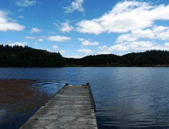 Bay of Plenty region
