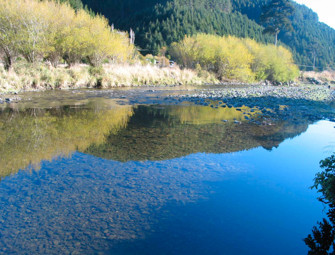 Nelson region