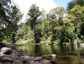 Northland region