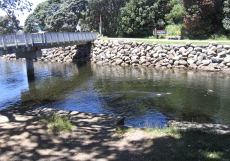 Te Henui at Bridge