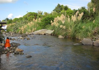 Punehu Stream at Wiremu