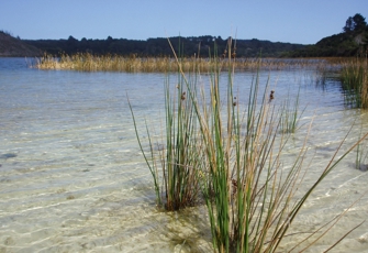 Lake Kai Iwi Lake Kai Iwi