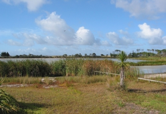 Laken Waiporohita Waiporohita