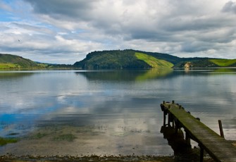 Rotoehu Site 3 Rotoehu Site 3