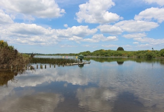 Lake Rerewhakaaitu at Homestead Arm (Main photo)