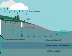 Infographic 2 with layers.png