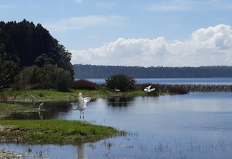 L. Mahinapua @ Shanghai Bay (1)