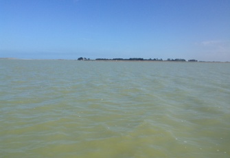 Te Waihora/Lake Ellesmere looking towards Taumutu Taumutu (1)