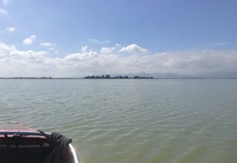 Te Waihora/Lake Ellesmere looking towards the Selwyn River mouth Selwyn River