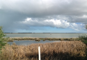 Te Waihora/Lake Ellesmere at Kaituna Lagoon Kaituna