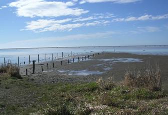 Wainono Lagoon - low level Wainono Lagoon Dry