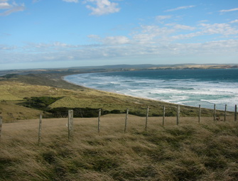 Chatham Islands